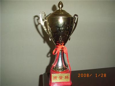 第五項目部榮譽(yù)